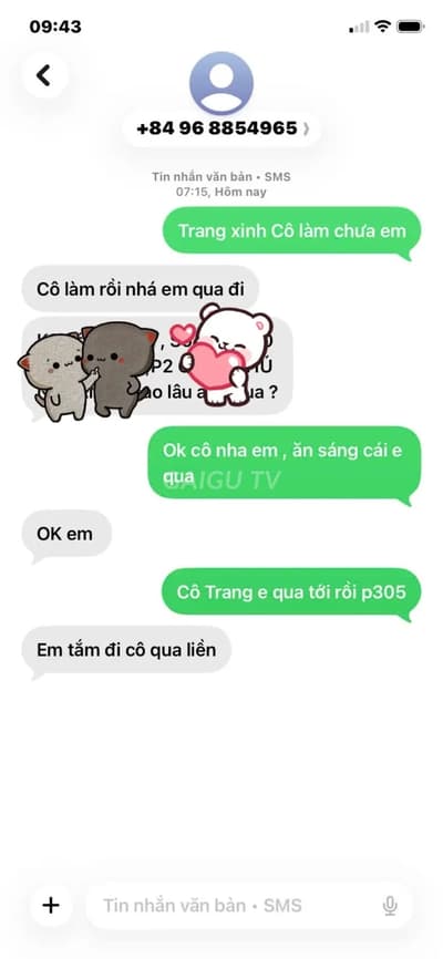 ảnh report