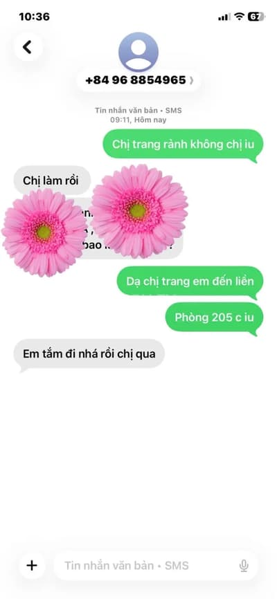 ảnh report