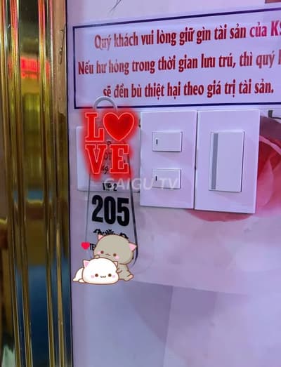 ảnh report