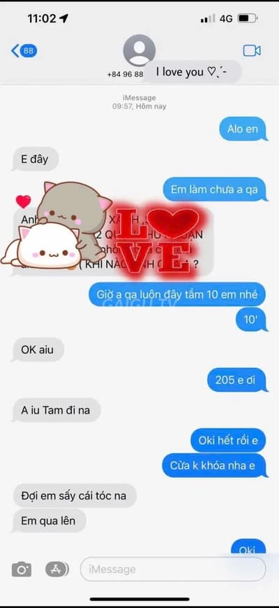 ảnh report