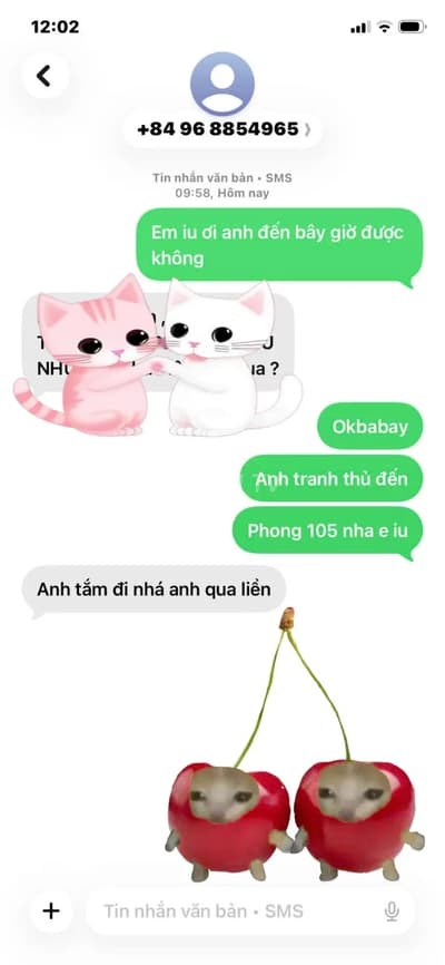 ảnh report
