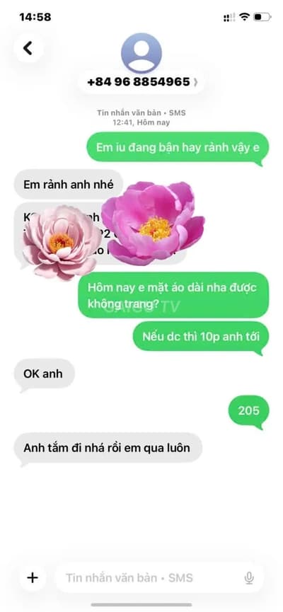ảnh report