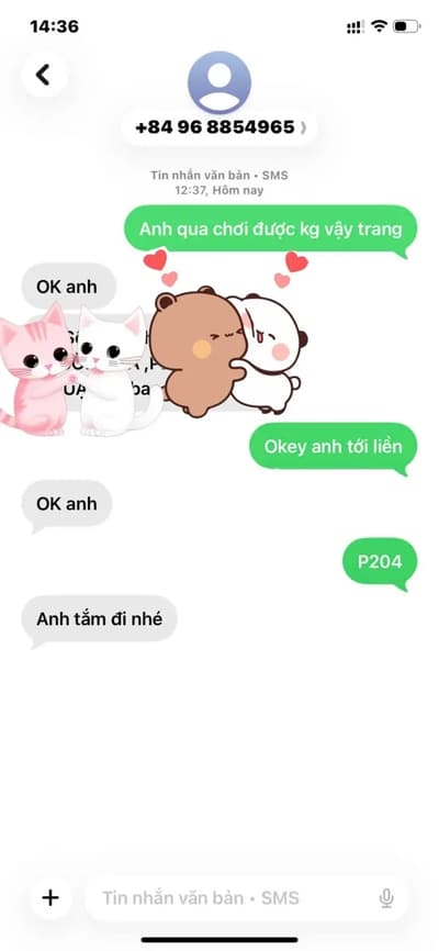 ảnh report