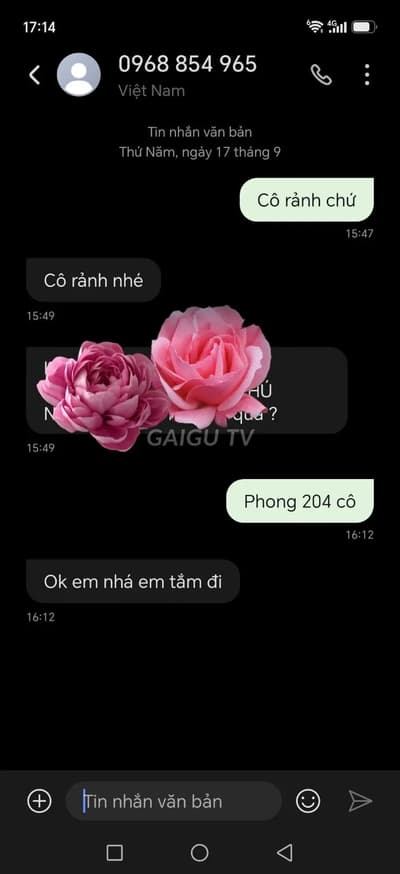 ảnh report