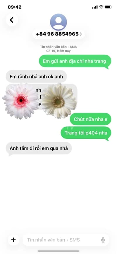 ảnh report