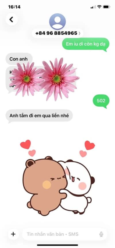 ảnh report