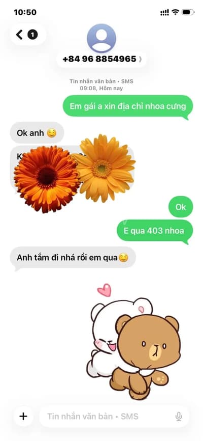 ảnh report