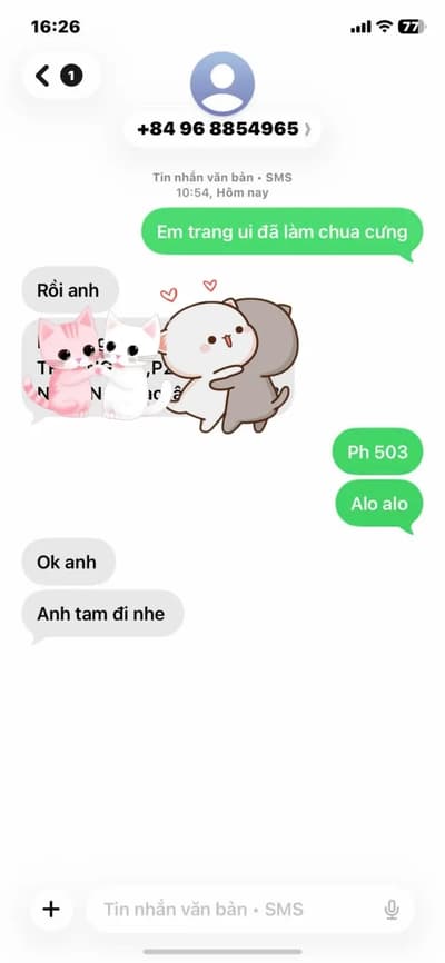 ảnh report
