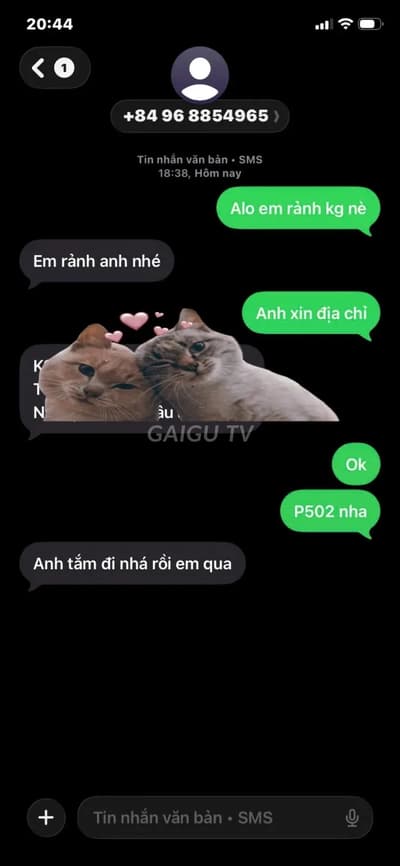 ảnh report