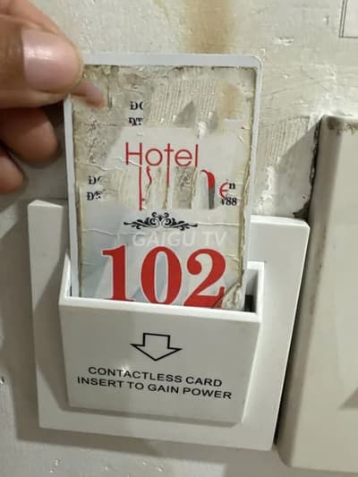 ảnh report