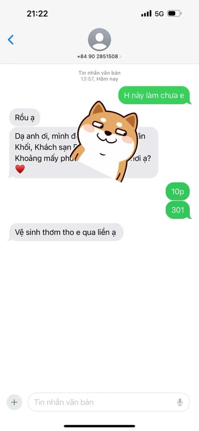 ảnh report