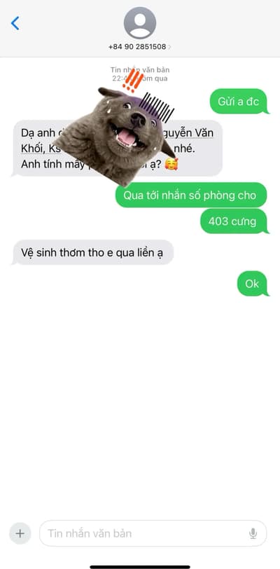 ảnh report