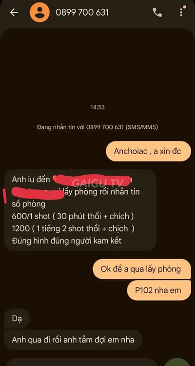 ảnh report