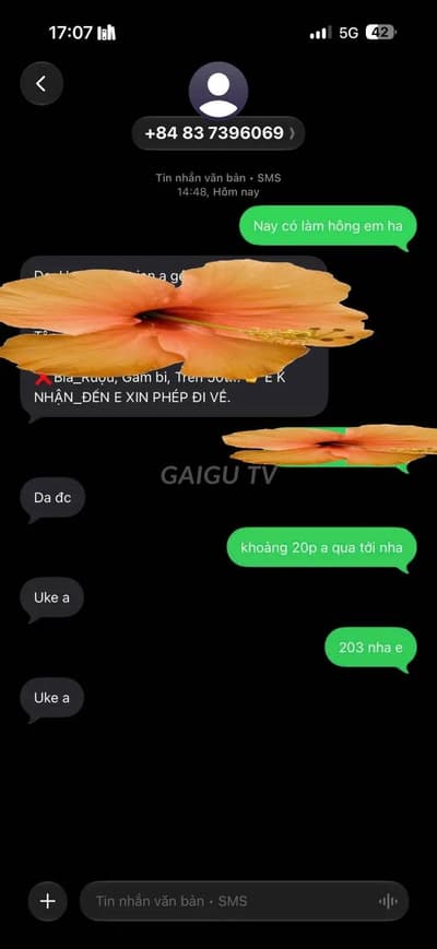 ảnh report