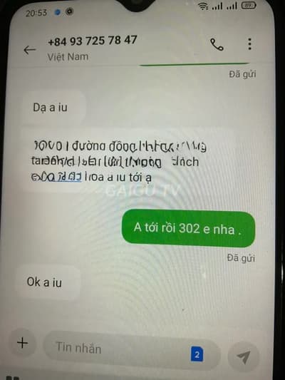 ảnh report