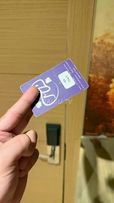 ảnh report