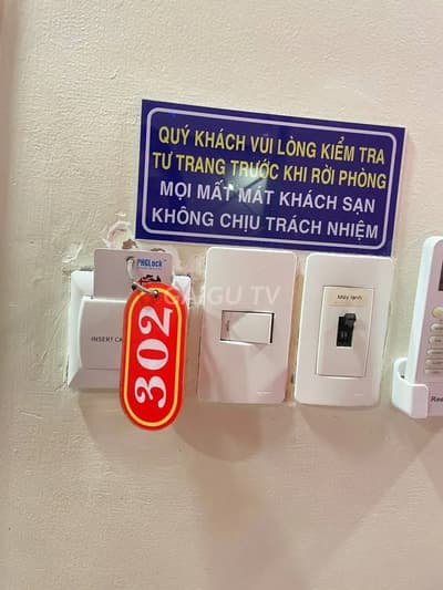 ảnh report