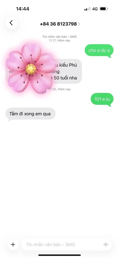 ảnh report