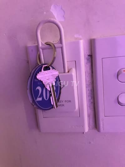 ảnh report