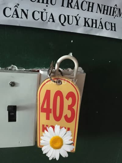 ảnh report