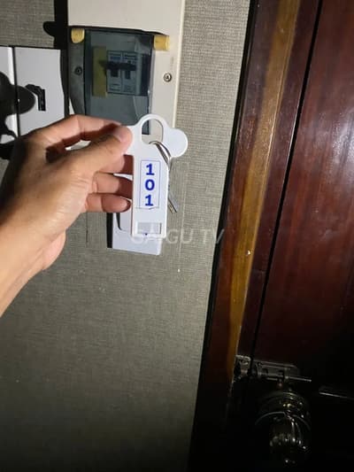 ảnh report