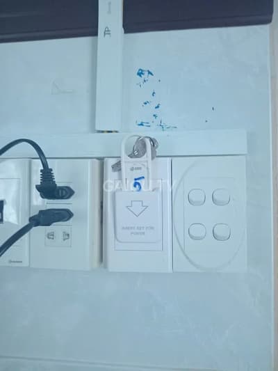 ảnh report
