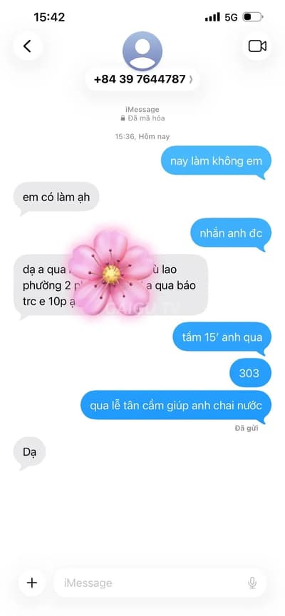 ảnh report