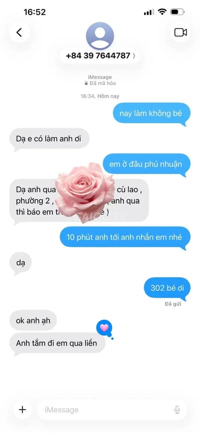 ảnh report