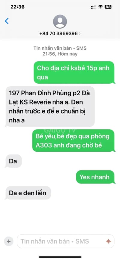 ảnh report