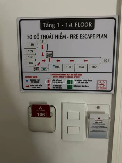 ảnh report