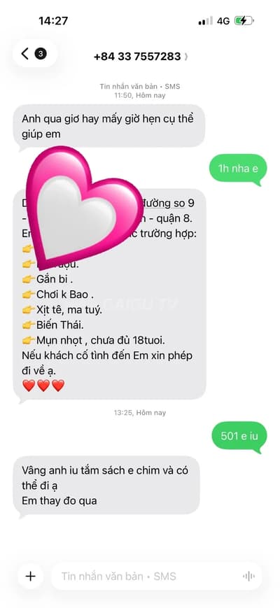 ảnh report