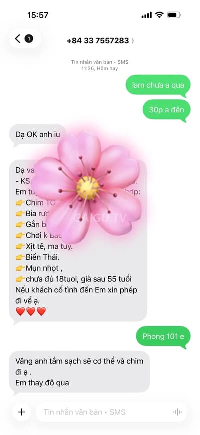 ảnh report