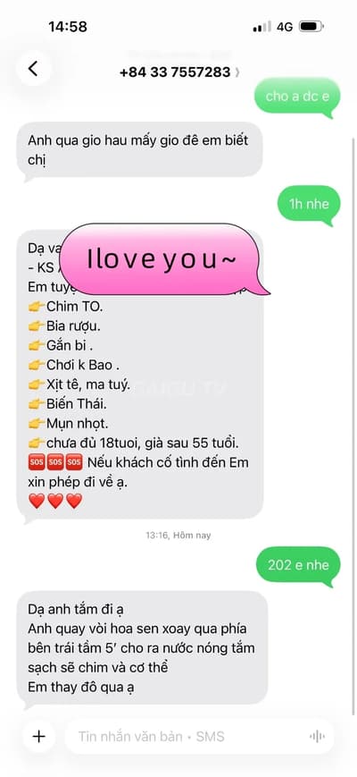 ảnh report