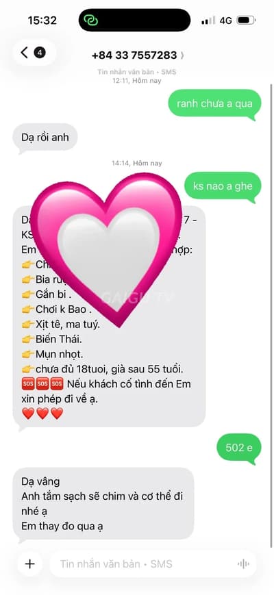 ảnh report