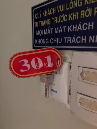 ảnh report