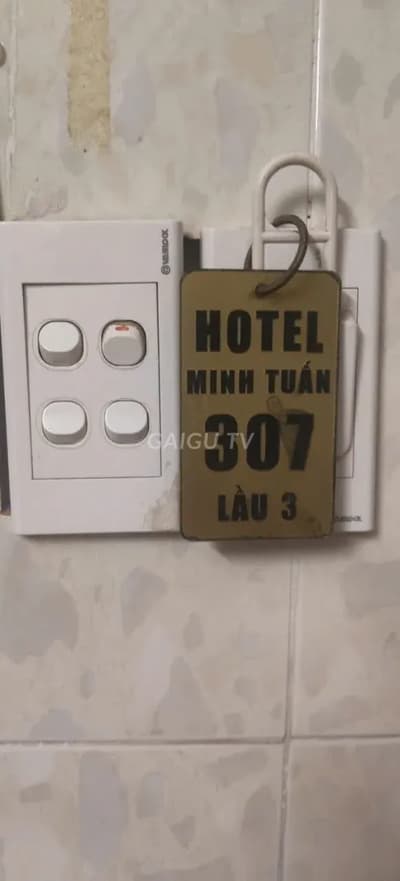 ảnh report