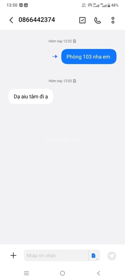ảnh report