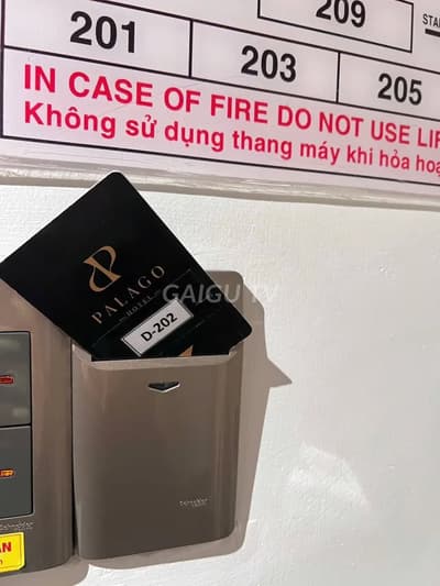 ảnh report