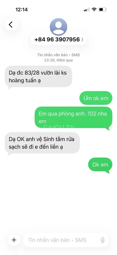 ảnh report
