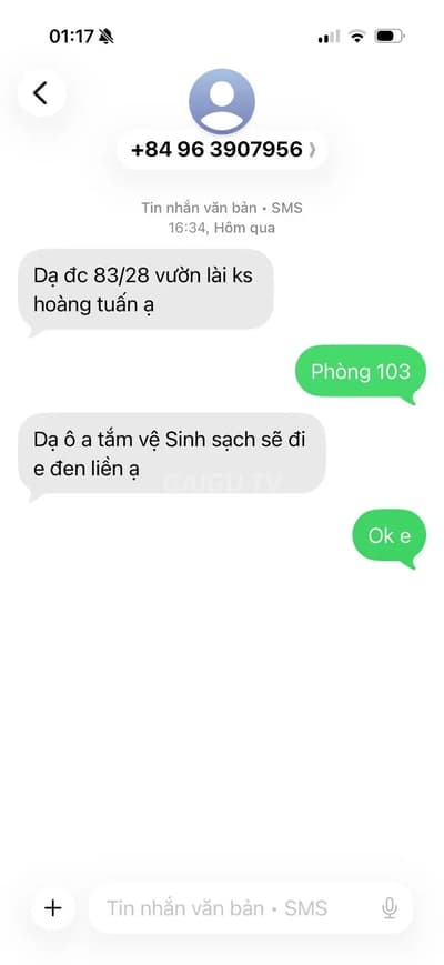 ảnh report