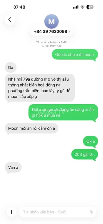 ảnh report