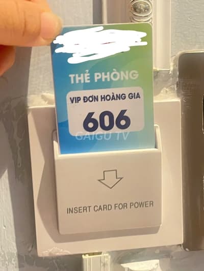 ảnh report