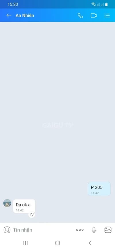 ảnh report