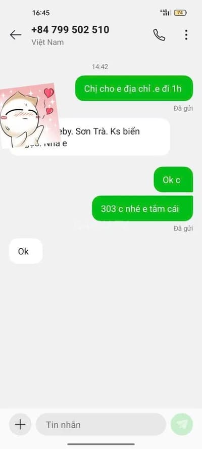 ảnh report