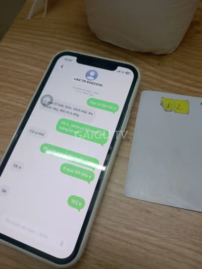 ảnh report