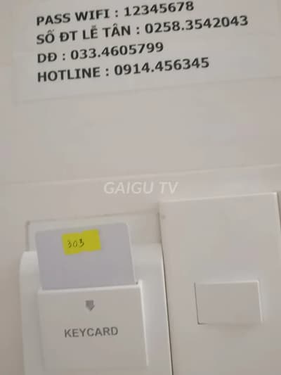 ảnh report