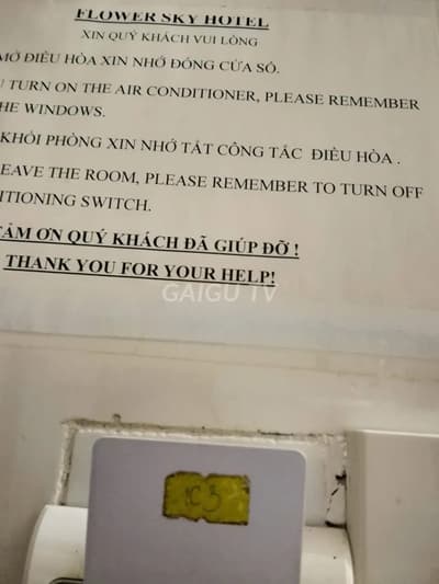 ảnh report