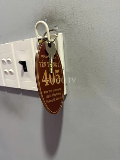 ảnh report
