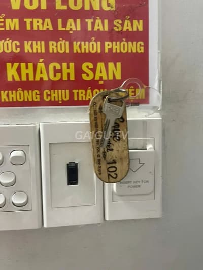 ảnh report