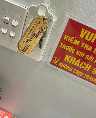 ảnh report